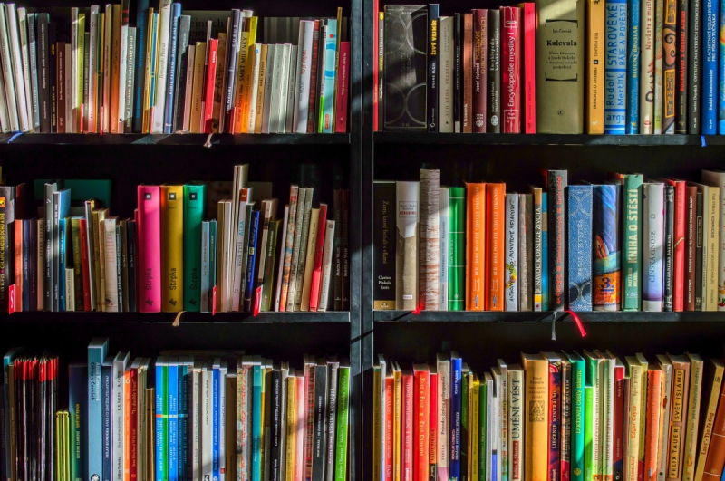 vitrine-LA SEYNE SUR MER-min_books_bookstore_book_reading_shop_writer_sale_books_read-822866