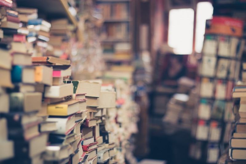 vitrine-LA SEYNE SUR MER-min_books_stack_book_store_stack_of_books_2nd_hand_retro_hipster_shop-829090